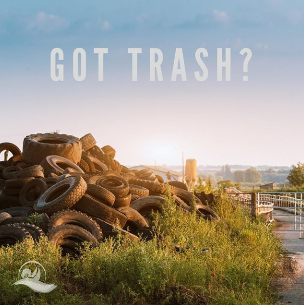 Free Summer Dump Day