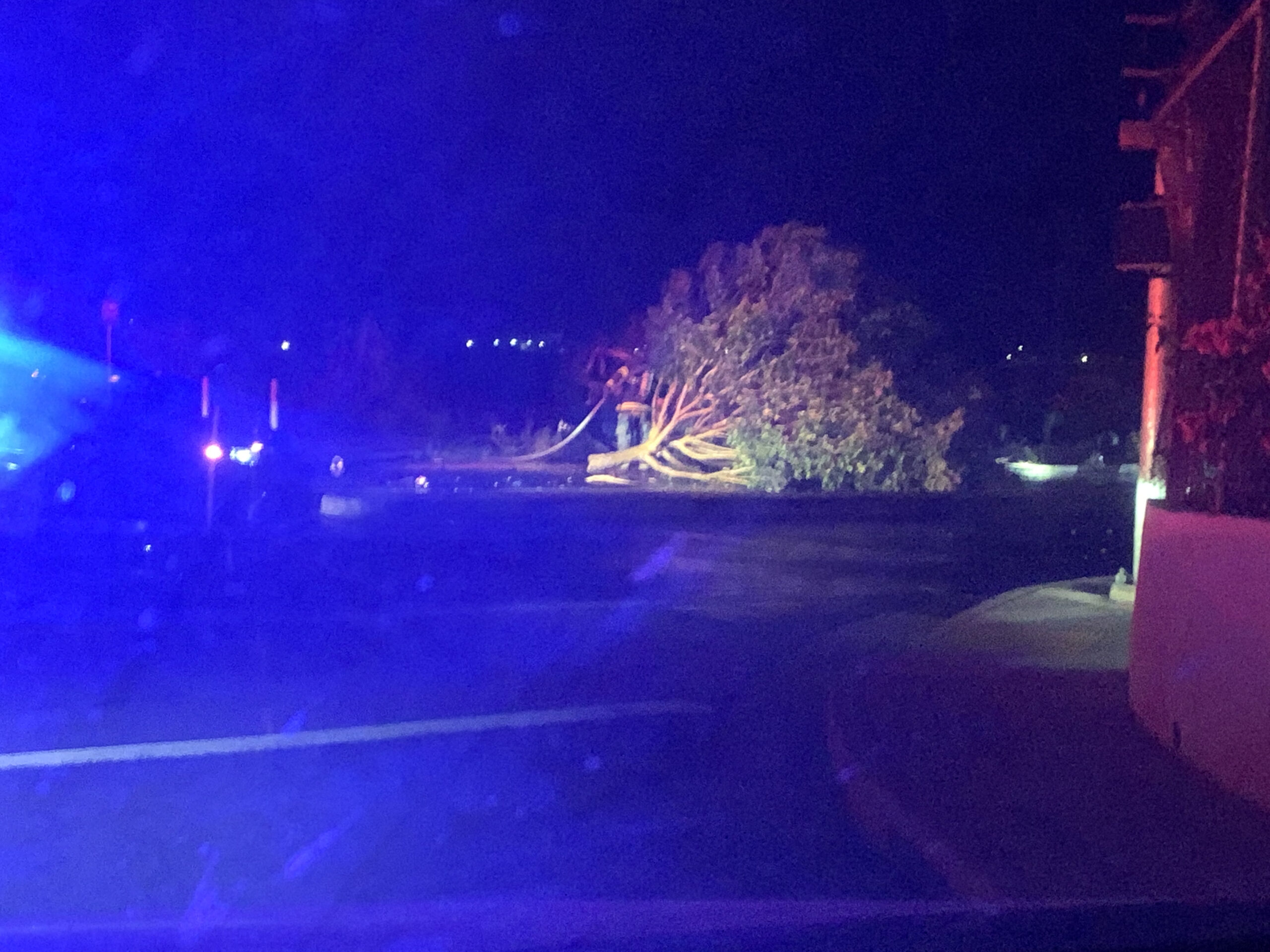 Accident with tree down and fire (video)