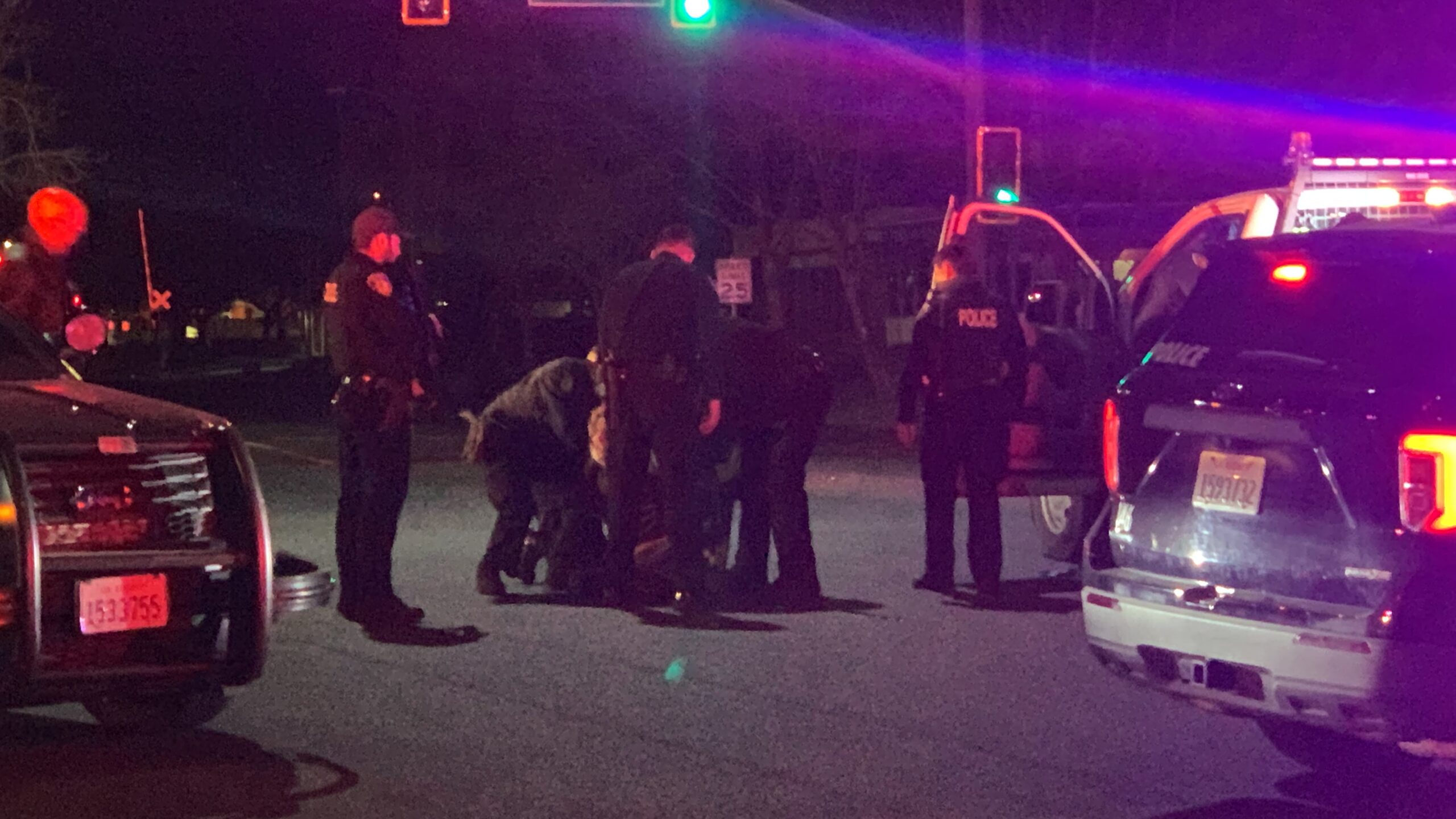 Female carjacking suspect arrested (Live Video)