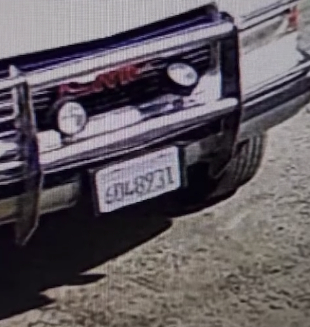 Illegal Dumpers (video)