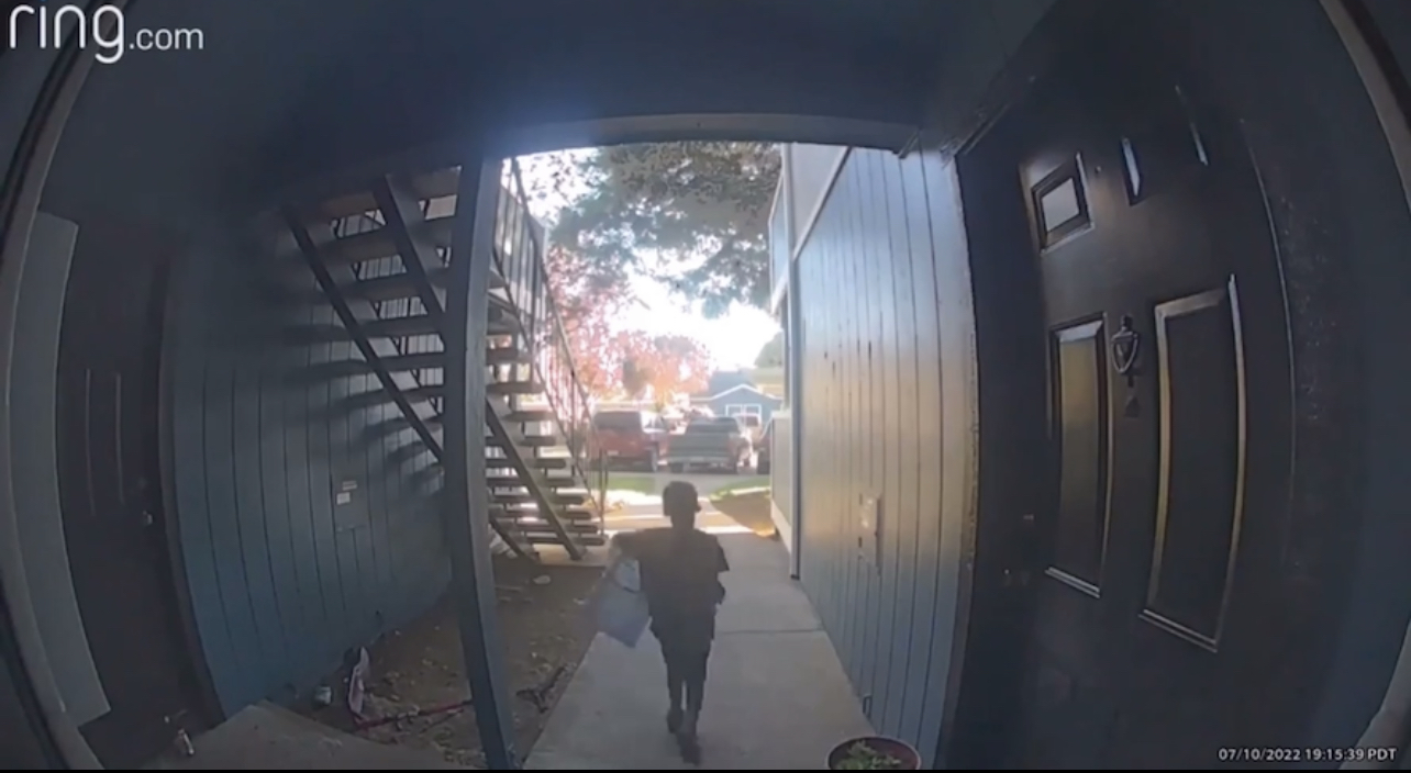 Parent sends child to steal package (video)