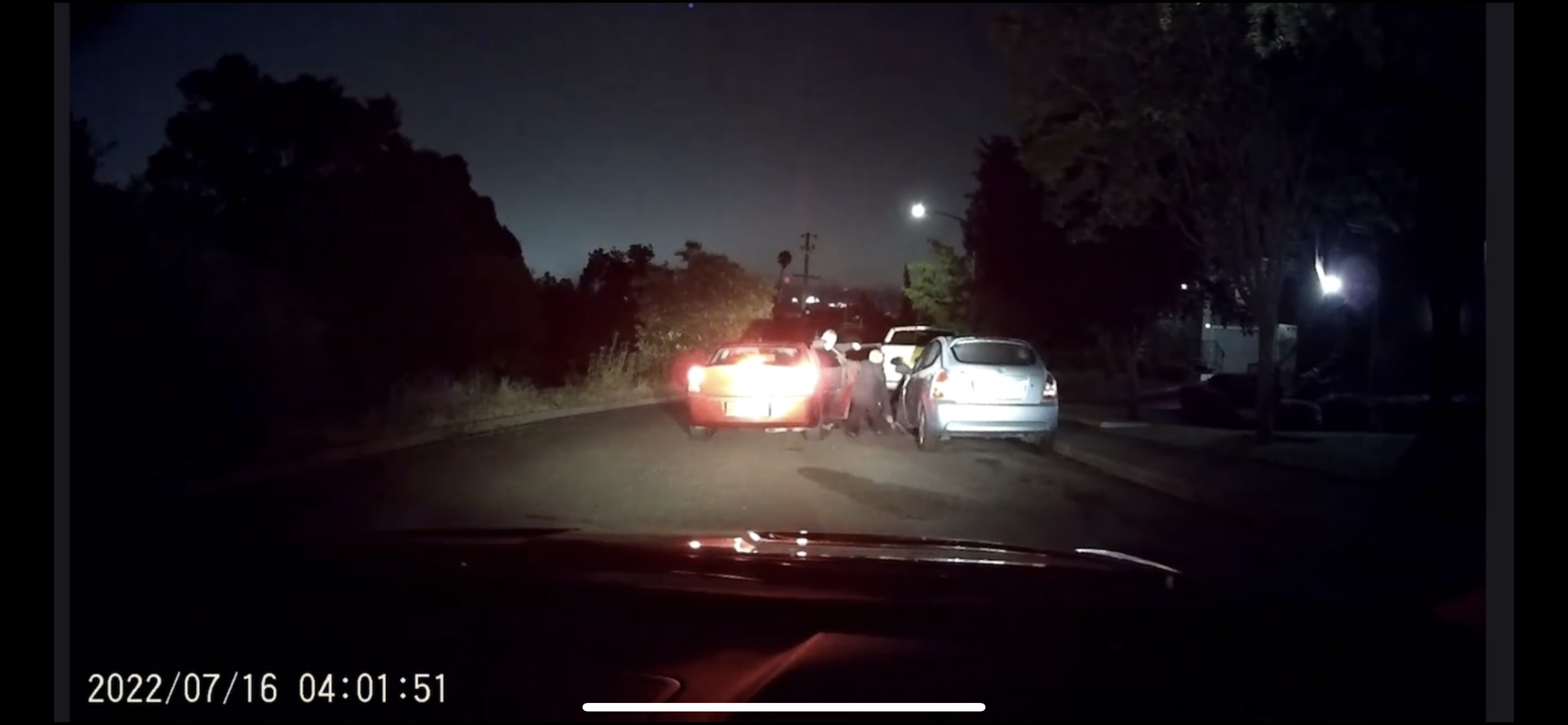 Catalytic converter thieves (Video)