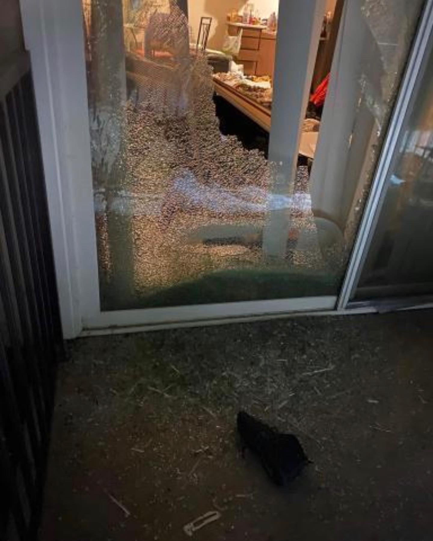 VPD does not show up